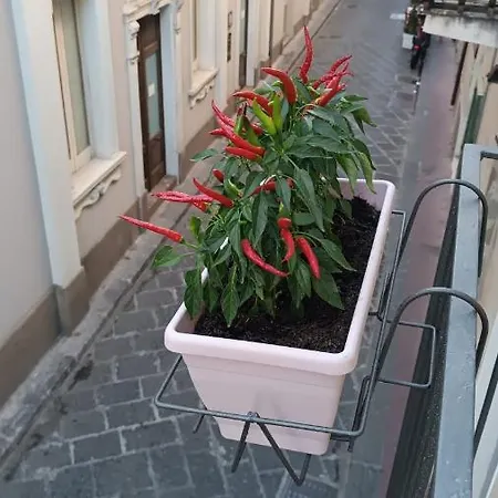 Apartamento La Casetta Di Elia Lipari (Isola Lipari)